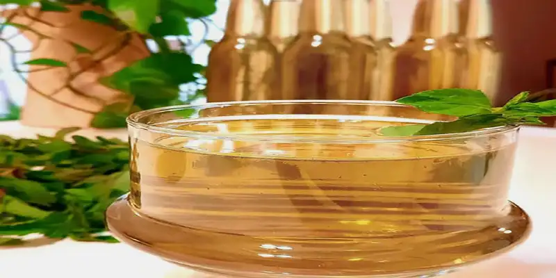 سکنگبین نعنایی عسلک