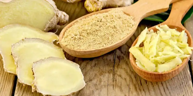 معرفی زجبیل